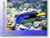 Ausgabe Dezember 2016 Online Aquarium-Magazin