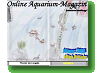 Online Aquarium-Magazin