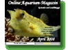 Online Aquarium-Magazin