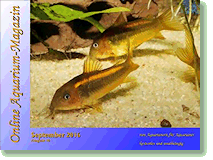 Online Aquarium-Magazin