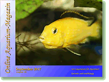 Online Aquarium-Magazin